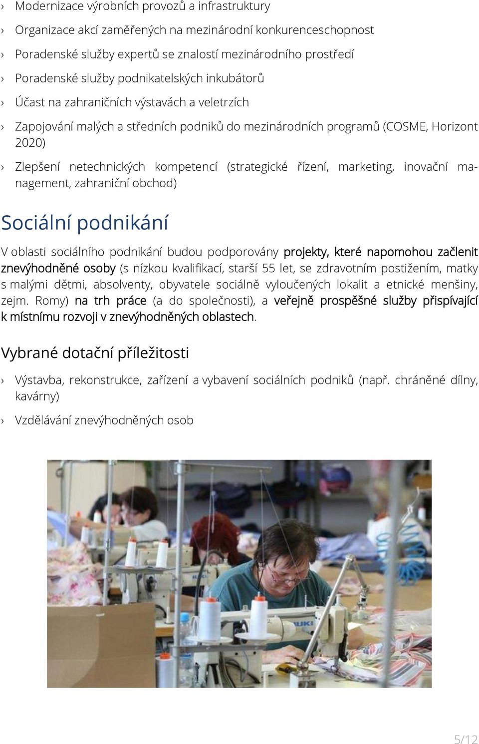 (strategické řízení, marketing, inovační management, zahraniční obchod) Sociální podnikání V oblasti sociálního podnikání budou podporovány projekty, které napomohou začlenit znevýhodněné osoby (s