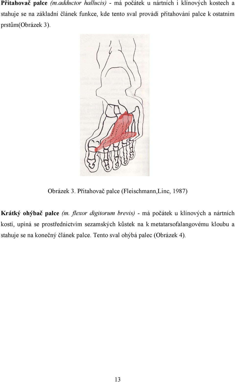 provádí přitahování palce k ostatním prstům(obrázek 3). Obrázek 3.