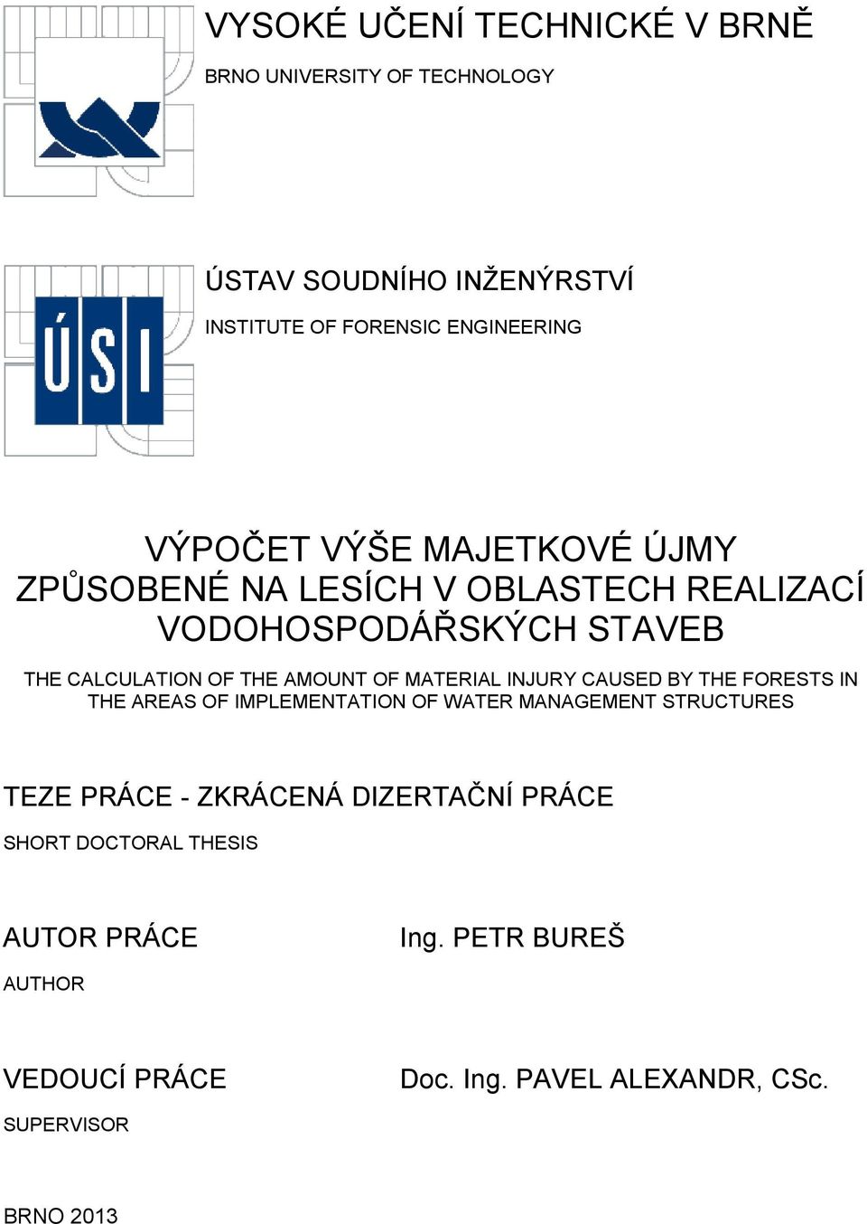 MATERIAL INJURY CAUSED BY THE FORESTS IN THE AREAS OF IMPLEMENTATION OF WATER MANAGEMENT STRUCTURES TEZE PRÁCE - ZKRÁCENÁ