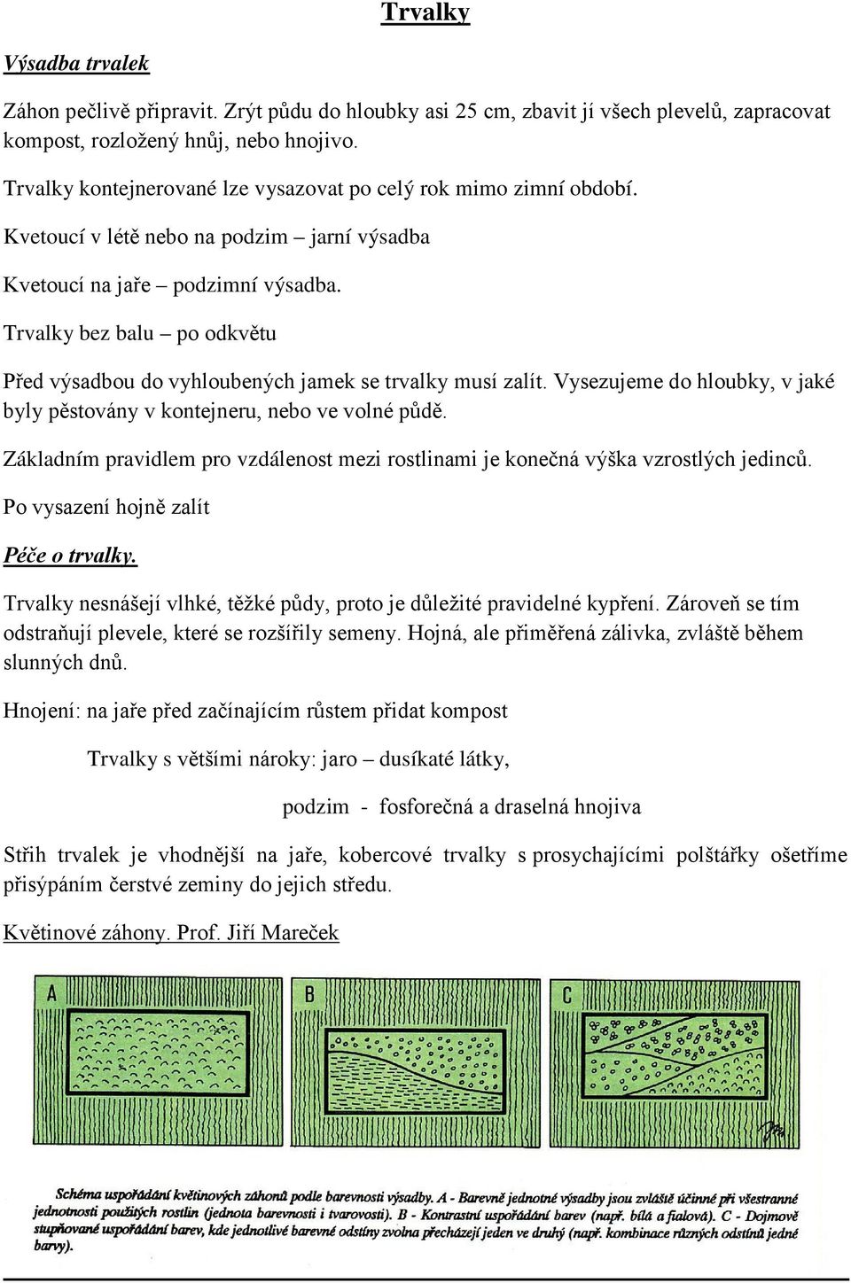 Trvalky bez balu po odkvětu Před výsadbou do vyhloubených jamek se trvalky musí zalít. Vysezujeme do hloubky, v jaké byly pěstovány v kontejneru, nebo ve volné půdě.