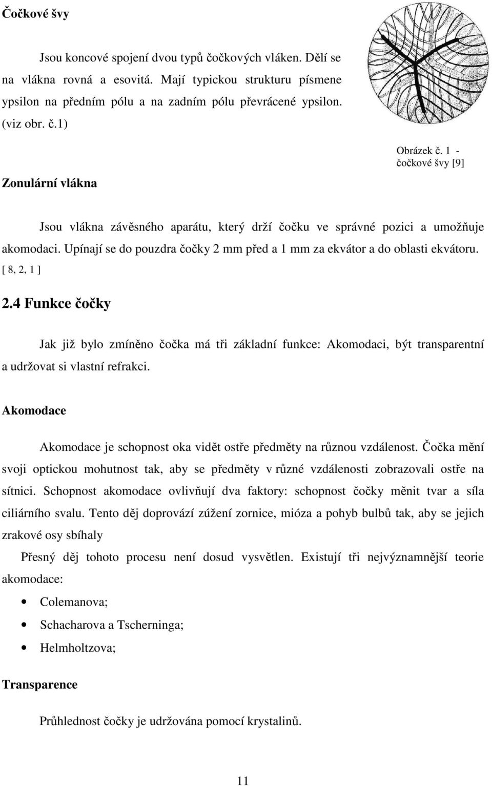 Upínají se do pouzdra čočky 2 mm před a 1 mm za ekvátor a do oblasti ekvátoru. [ 8, 2, 1 ] 2.