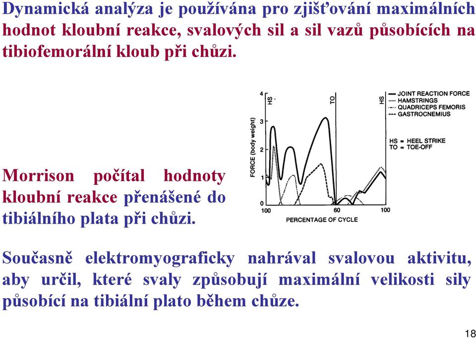 Morrison počítal hodnoty kloubní reakce přenášené do tibiálního plata při chůzi.