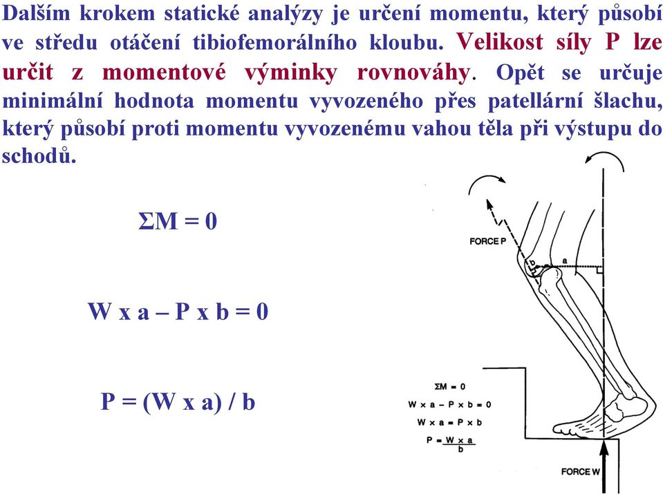 Opět se určuje minimální hodnota momentu vyvozeného přes patellární šlachu, který