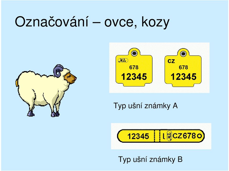ušní známky A