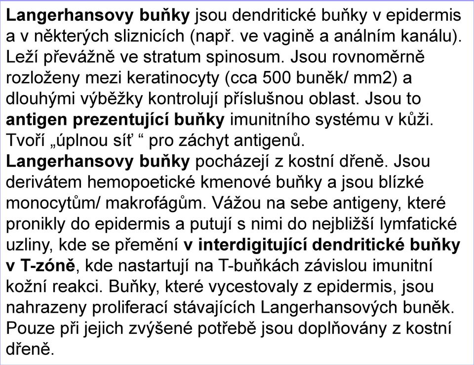 Tvoří úplnou síť pro záchyt antigenů. Langerhansovy buňky pocházejí z kostní dřeně. Jsou derivátem hemopoetické kmenové buňky a jsou blízké monocytům/ makrofágům.