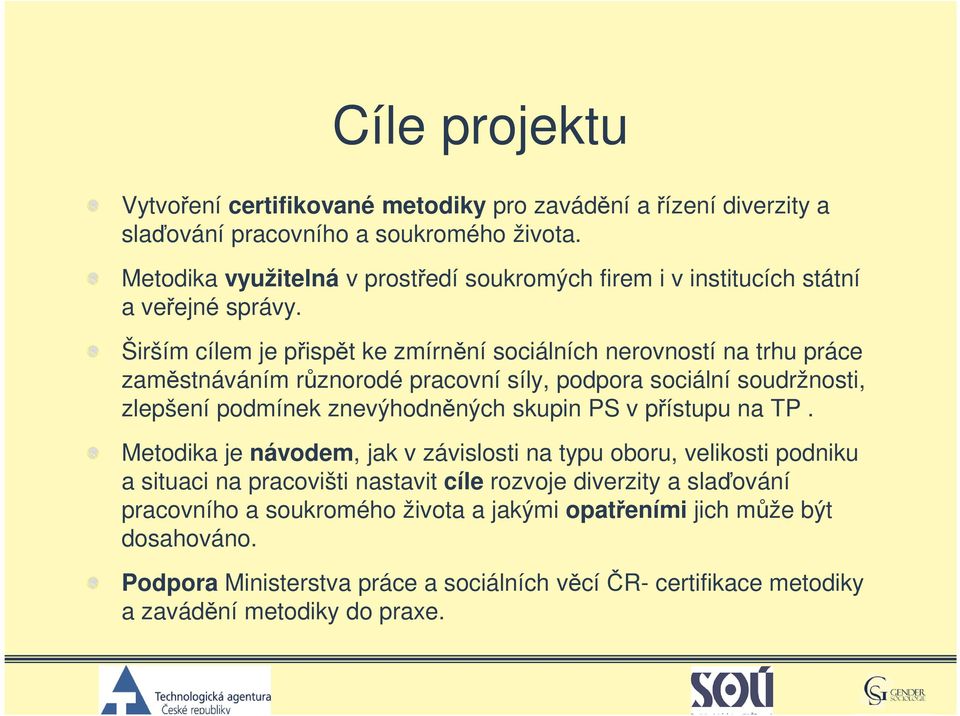 Širším cílem je přispět ke zmírnění sociálních nerovností na trhu práce zaměstnáváním různorodé pracovní síly, podpora sociální soudržnosti, zlepšení podmínek znevýhodněných skupin