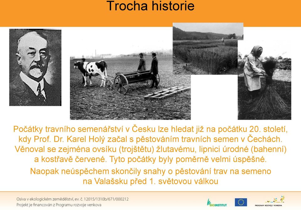 Věnoval se zejména ovsíku (trojštětu) žlutavému, lipnici úrodné (bahenní) a kostřavě červené.
