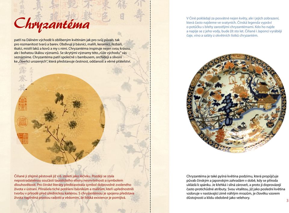 Chryzantéma patří společně s bambusem, orchidejí a slivoní ke čtveřici urozených, která představuje čestnost, oddanost a věrné přátelství.