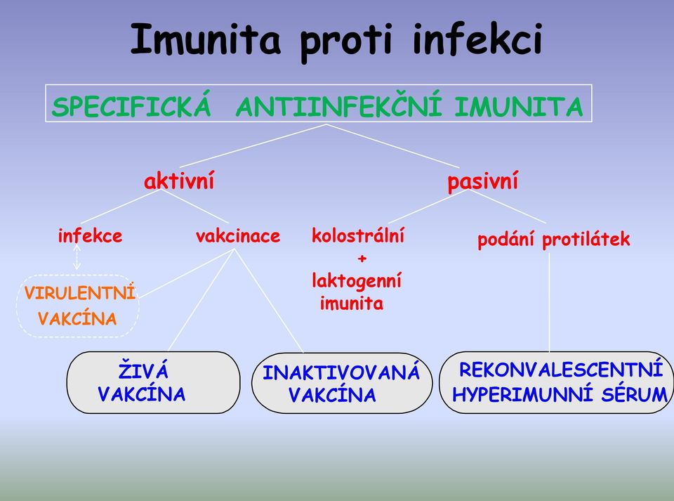 kolostrální + laktogenní imunita podání protilátek ŽIVÁ