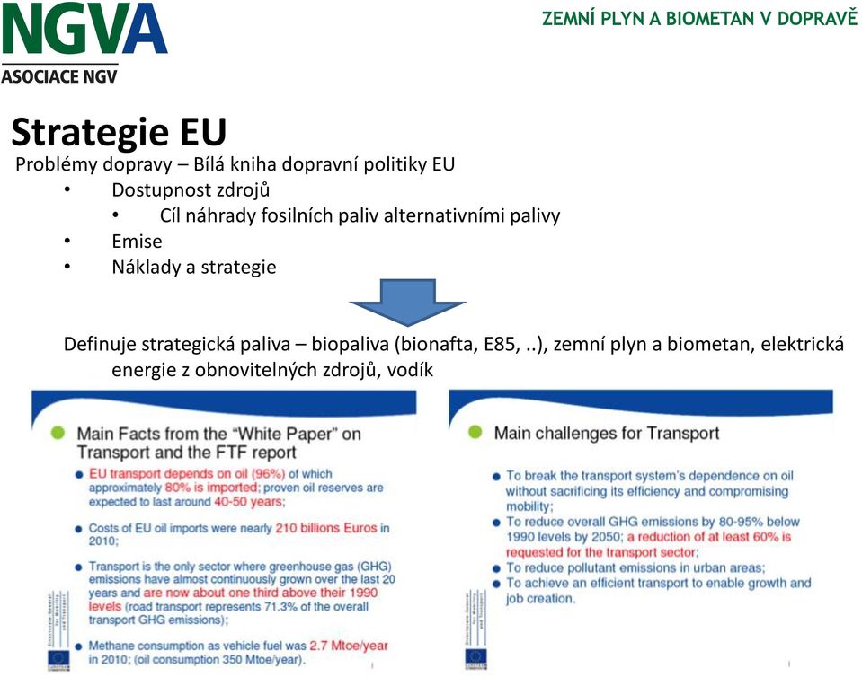 Emise Náklady a strategie Definuje strategická paliva biopaliva