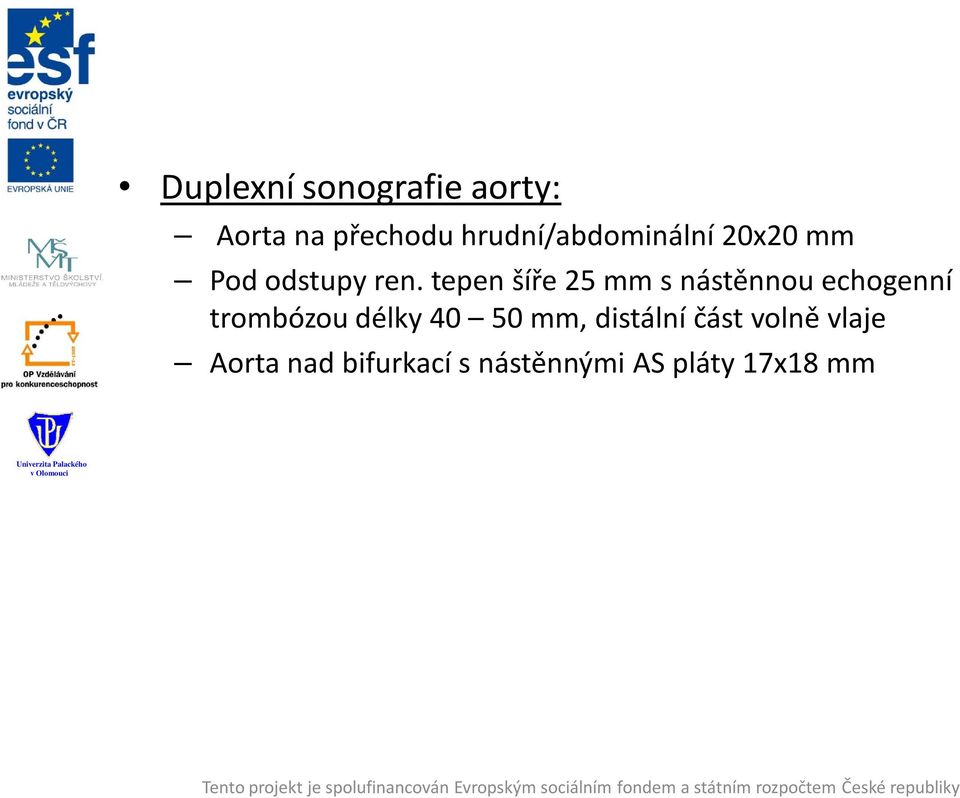 tepen šíře 25 mm s nástěnnou echogenní trombózou délky 40