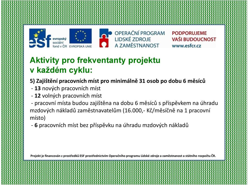 místa budou zajištěna na dobu 6 měsíců s příspěvkem na úhradu mzdových nákladů zaměstnavatelům