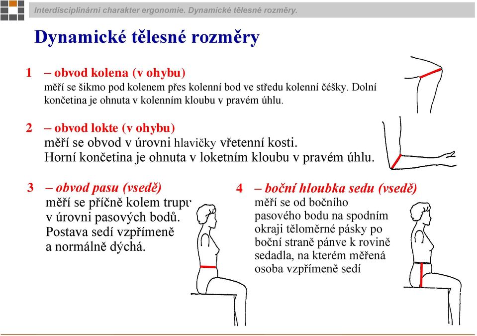 Horní končetina je ohnuta v loketním kloubu v pravém úhlu. 3 obvod pasu (vsedě) měří se příčně kolem trupu v úrovni pasových bodů.