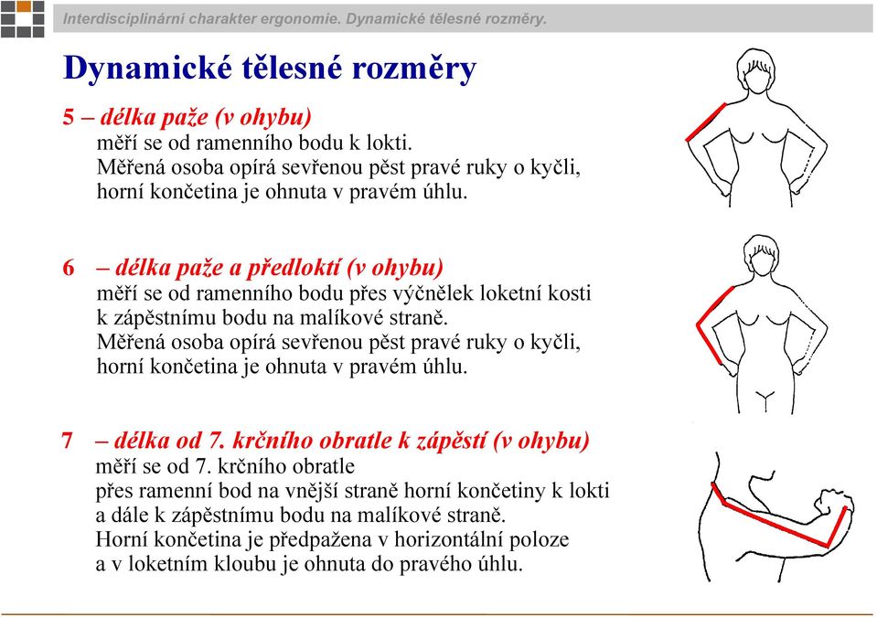 6 délka paže a předloktí (v ohybu) měří se od ramenního bodu přes výčnělek loketní kosti k zápěstnímu bodu na malíkové straně.  7 délka od 7.