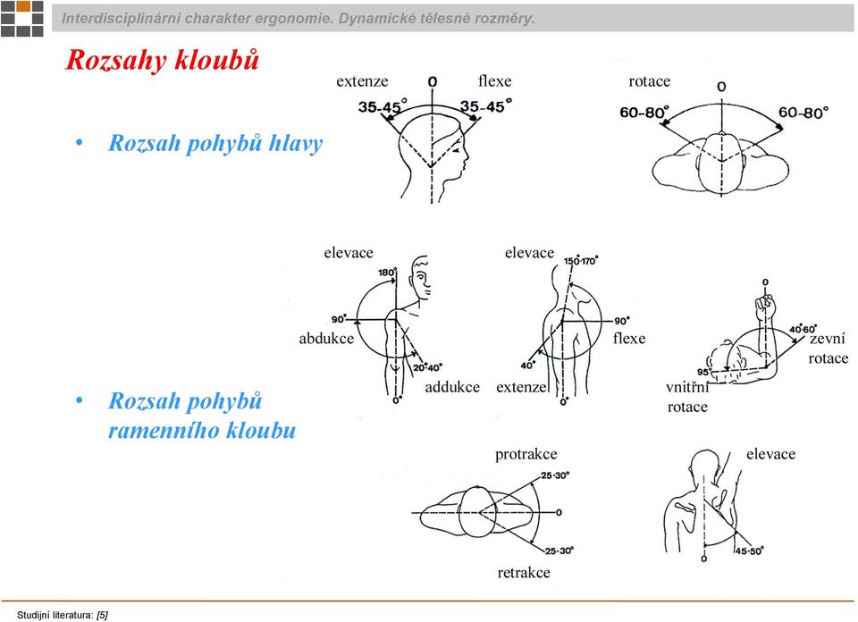 pohybů ramenního