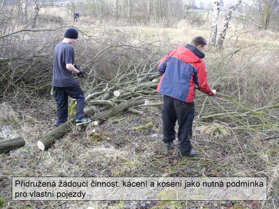 kosení jako nutná