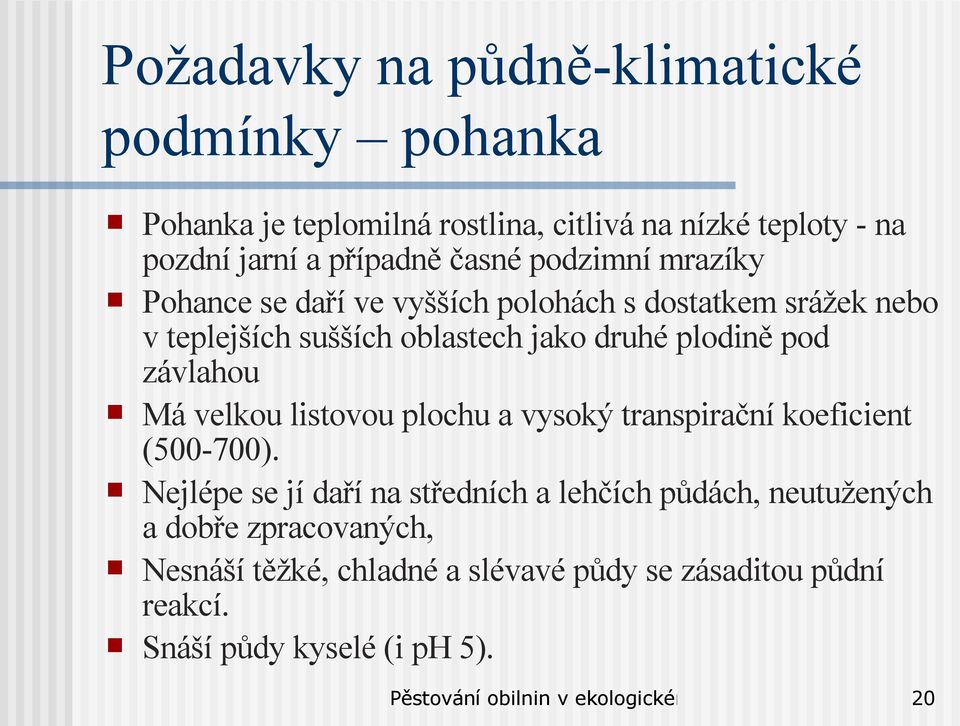 druhé plodině pod závlahou Má velkou listovou plochu a vysoký transpirační koeficient (500-700).
