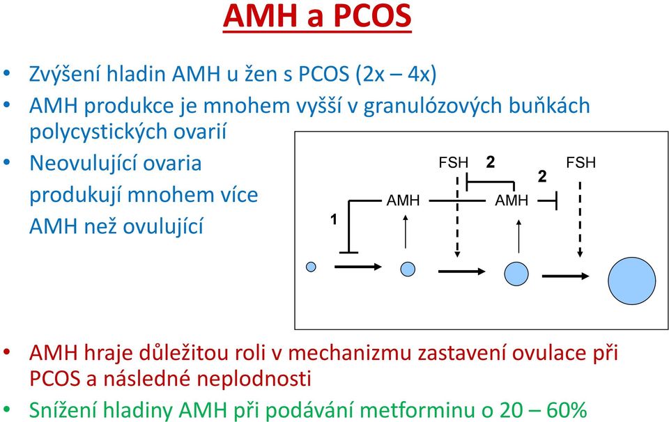 mnohem více AMH AMH 1 AMH než ovulující FSH AMH hraje důležitou roli v mechanizmu