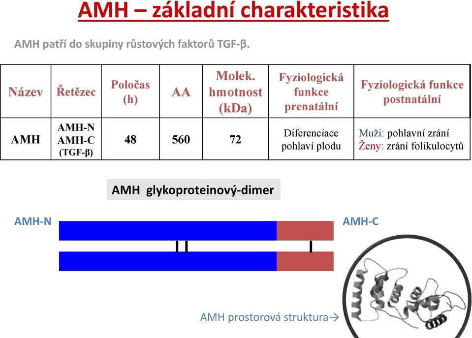 hmotnost (kda) Fyziologická funkce prenatální Fyziologická funkce postnatální AMH AMH-N