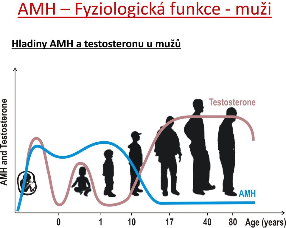 funkce - muži