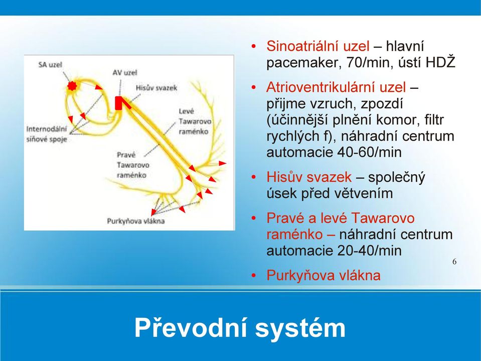 centrum automacie 40-60/min Hisův svazek společný úsek před větvením Pravé a