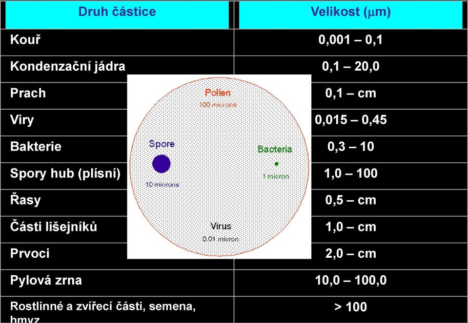 Bakterie 0,3 10 Spory hub (plísní) 1,0 100 Řasy Části lišejníků Prvoci