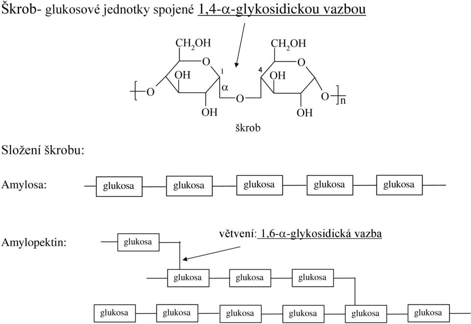 glukosa glukosa Amylopektin: glukosa větvení: 1,6- -glykosidická