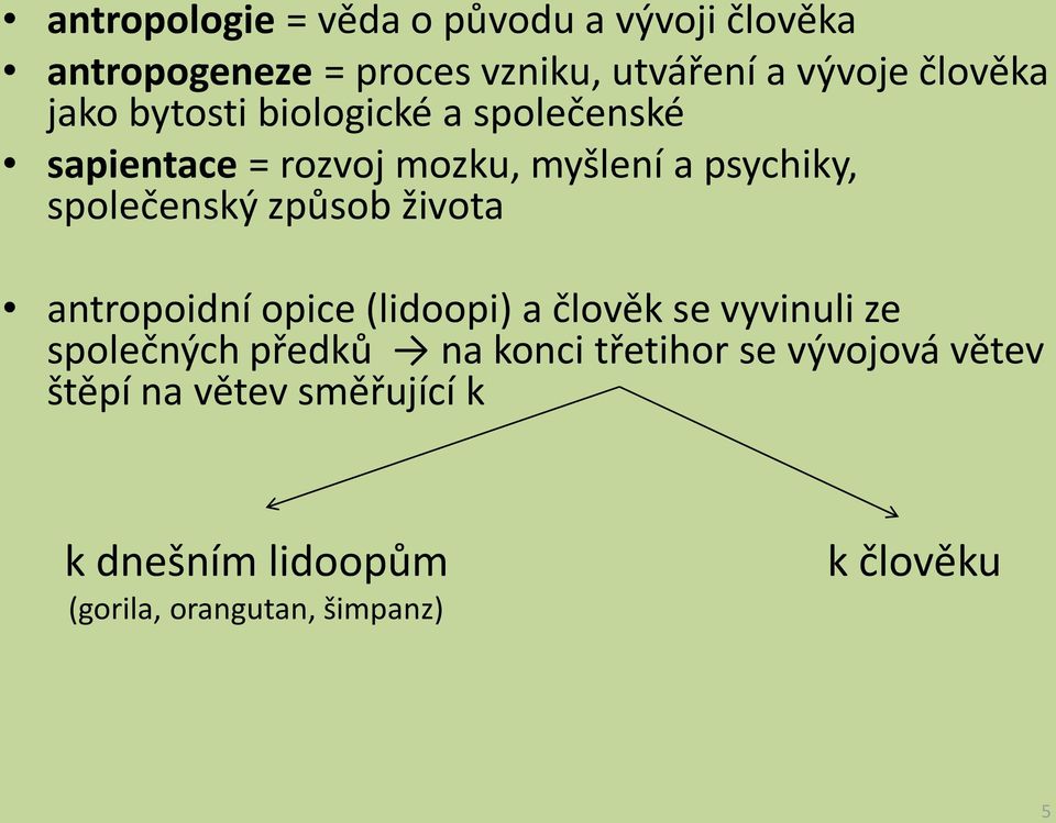 společenský způsob života antropoidní opice (lidoopi) a člověk se vyvinuli ze společných předků na