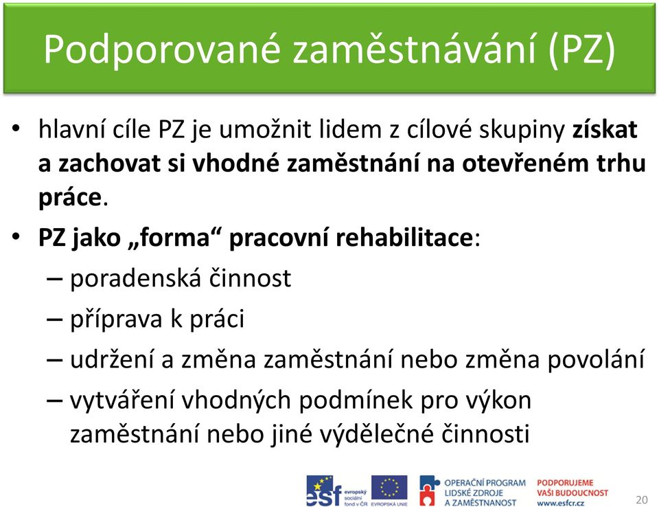 PZ jako forma pracovní rehabilitace: poradenská činnost příprava k práci udržení a