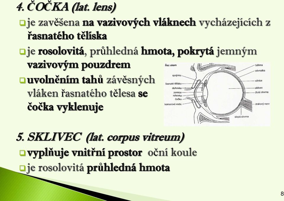 rosolovitá, průhledná hmota, pokrytá jemným vazivovým pouzdrem uvolněním tahů