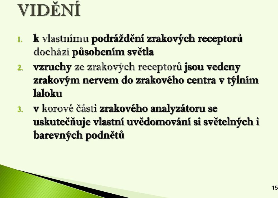 vzruchy ze zrakových receptorů jsou vedeny zrakovým nervem do