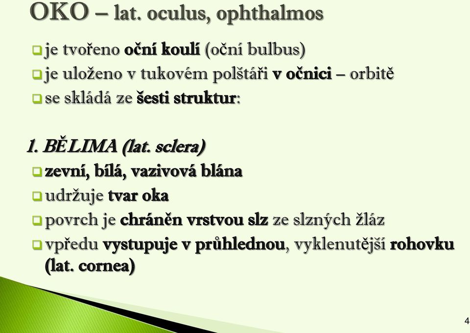 sclera) zevní, bílá, vazivová blána udržuje tvar oka povrch je chráněn