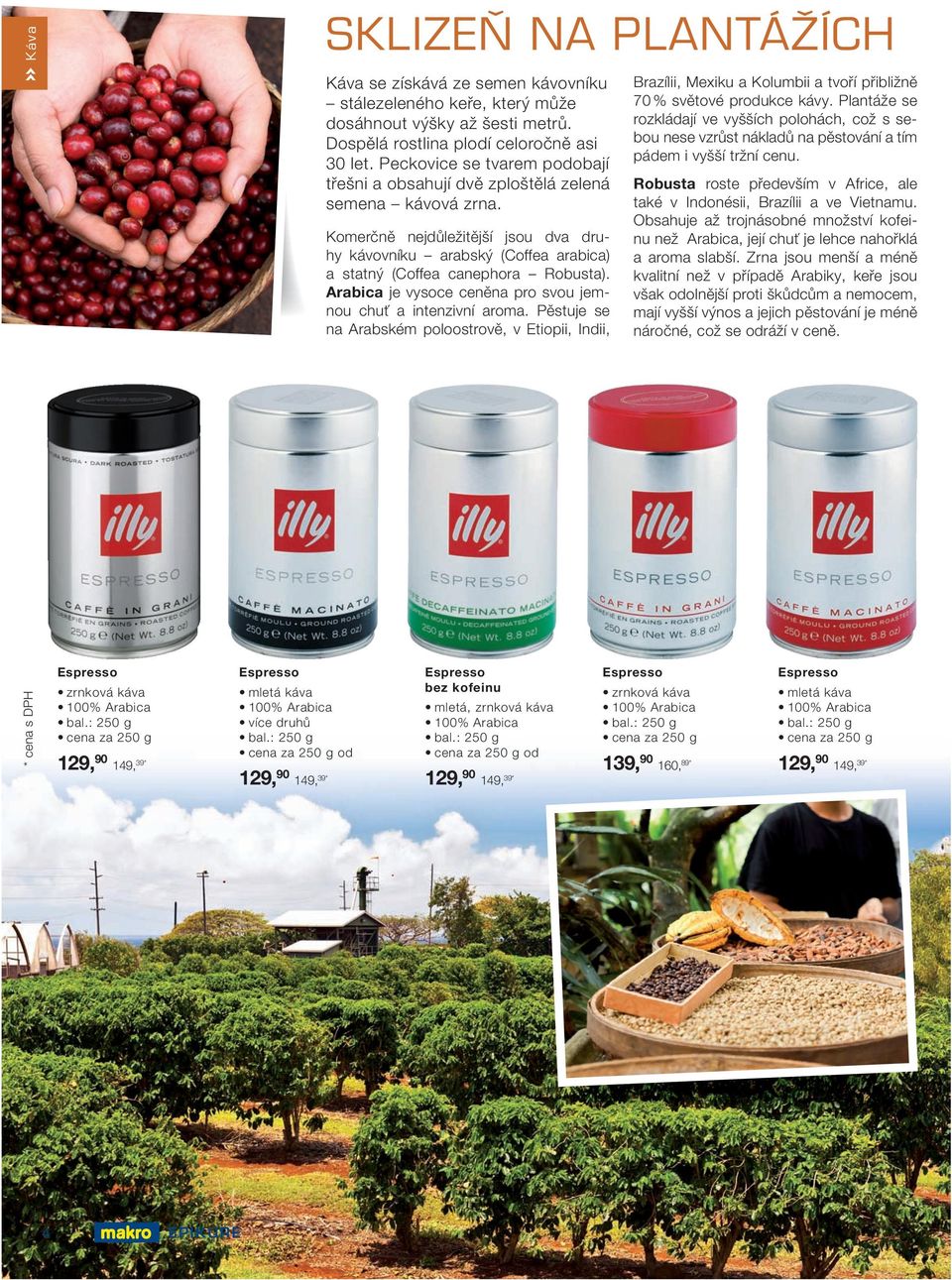 Komerčně nejdůležitější jsou dva druhy kávovníku arabský (Coffea arabica) a statný (Coffea canephora Robusta). Arabica je vysoce ceněna pro svou jemnou chuť a intenzivní aroma.