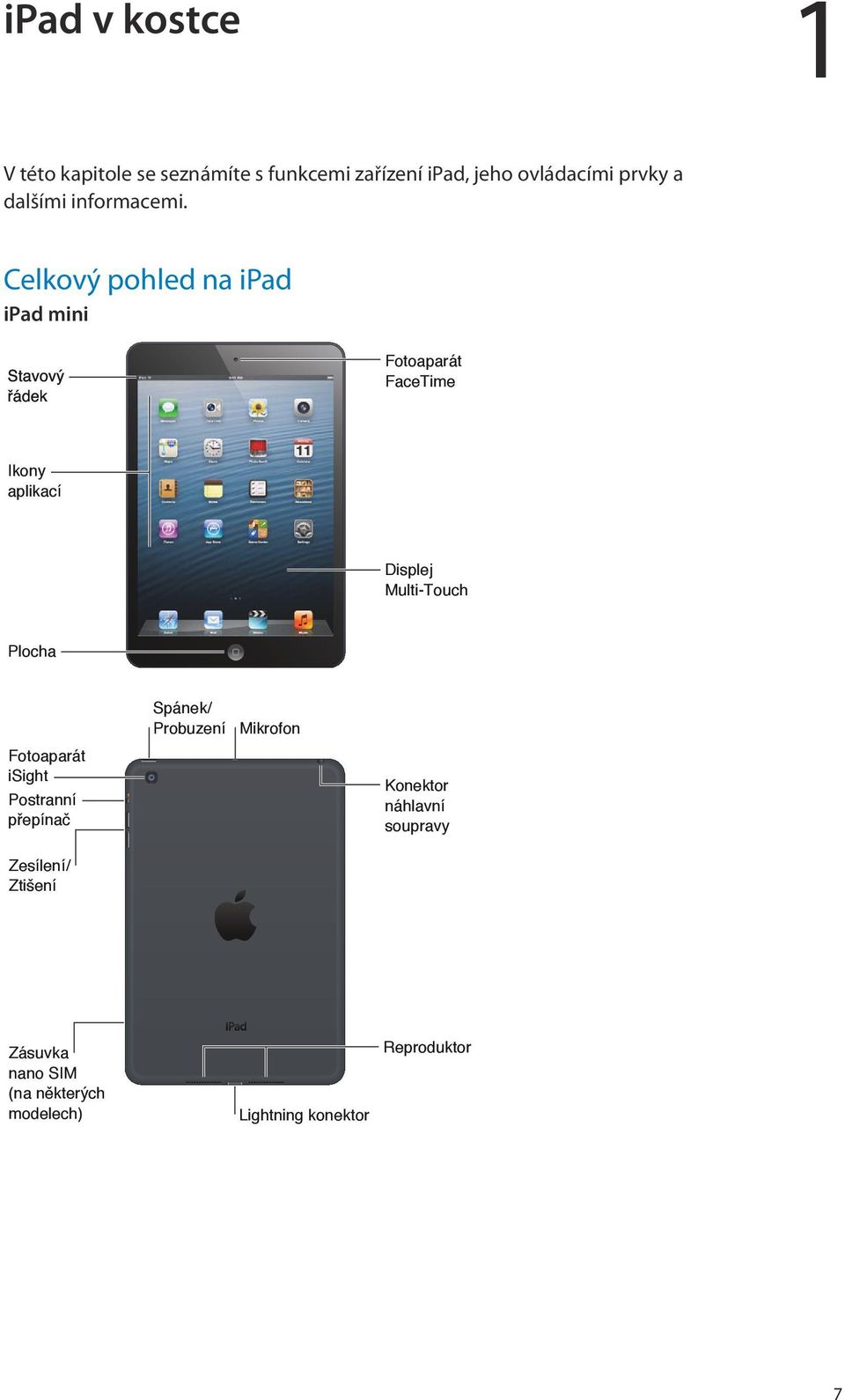 Celkový pohled na ipad ipad mini Fotoaparát FaceTime Ikony aplikací Displej Multi-Touch Plocha