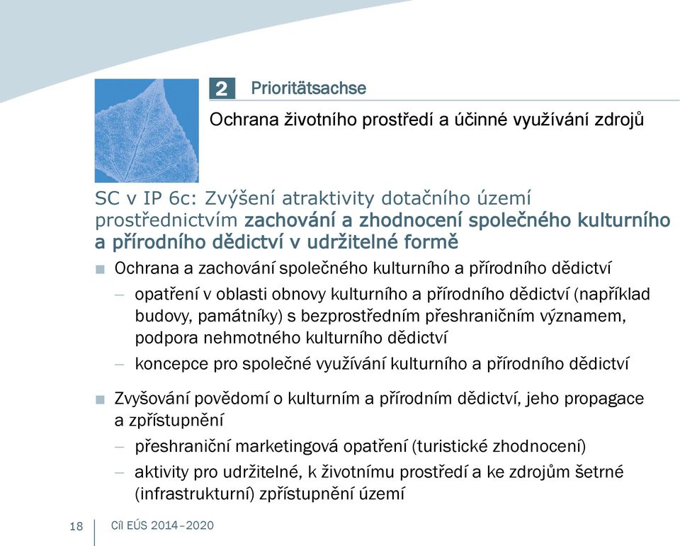 bezprostředním přeshraničním významem, podpora nehmotného kulturního dědictví koncepce pro společné využívání kulturního a přírodního dědictví Zvyšování povědomí o kulturním a přírodním