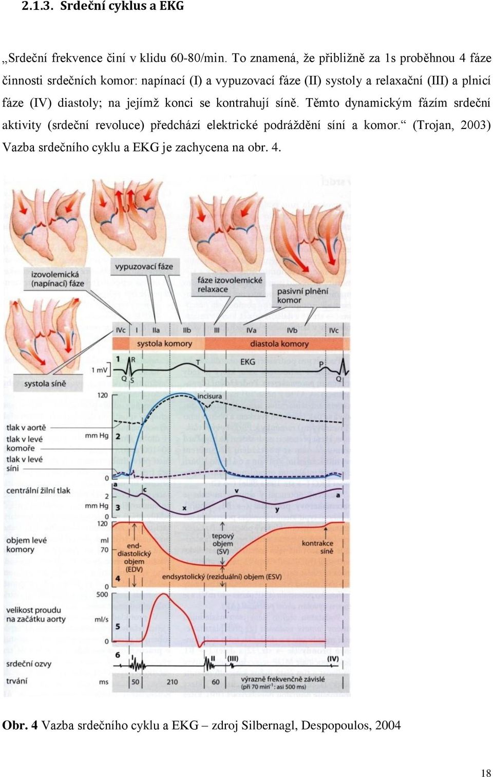 relaxační (III) a plnicí fáze (IV) diastoly; na jejímţ konci se kontrahují síně.