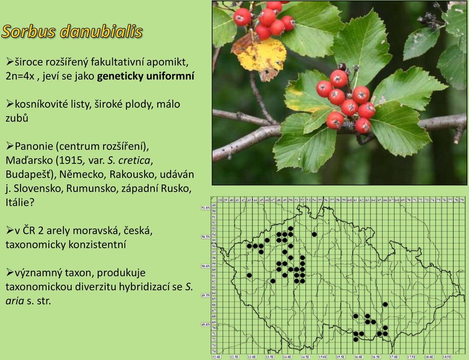 cretica, Budapešť), Německo, Rakousko, udáván j. Slovensko, Rumunsko, západní Rusko, Itálie?