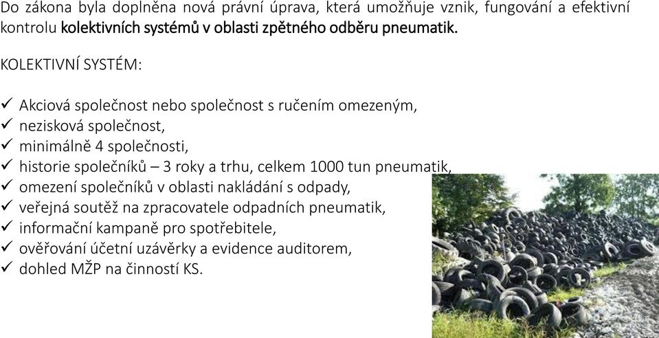 KOLEKTIVNÍ SYSTÉM: Akciová společnost nebo společnost s ručením omezeným, nezisková společnost, minimálně 4 společnosti, historie