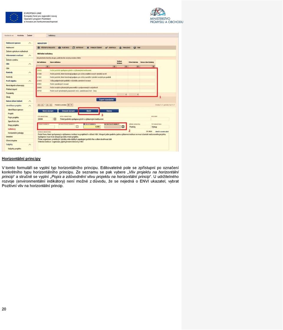 Ze seznamu se pak vybere Vliv projektu na horizontální princip a stručně se vyplní Popis a zdůvodnění vlivu