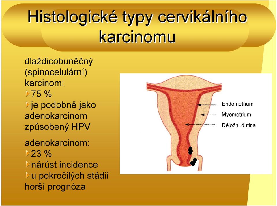 způsobený HPV Endometrium Myometrium Děložní dutina