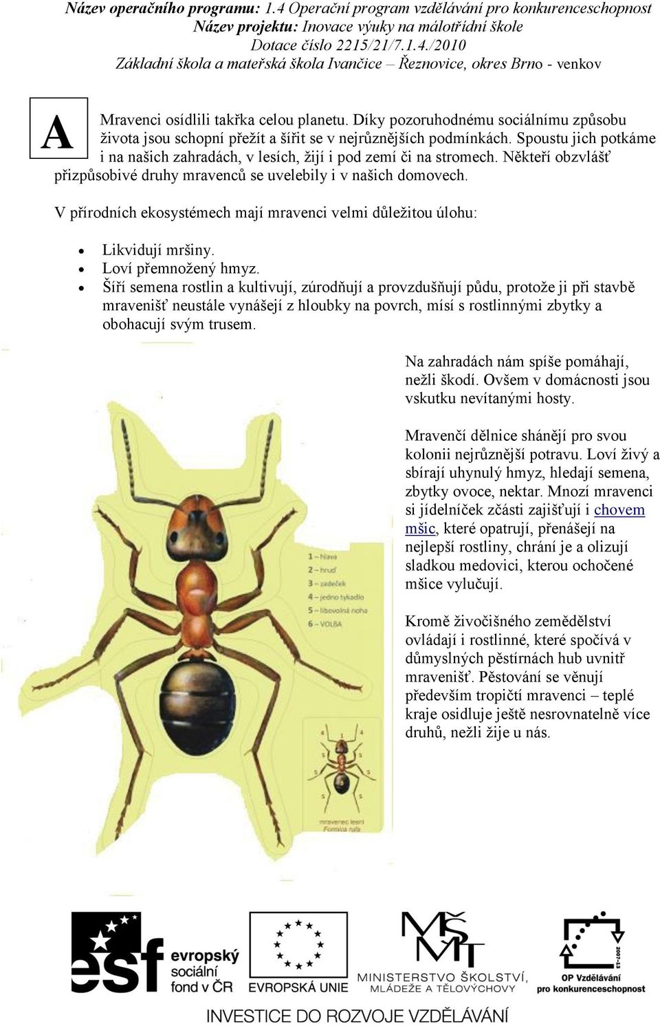 V přírodních ekosystémech mají mravenci velmi důležitou úlohu: Likvidují mršiny. Loví přemnožený hmyz.