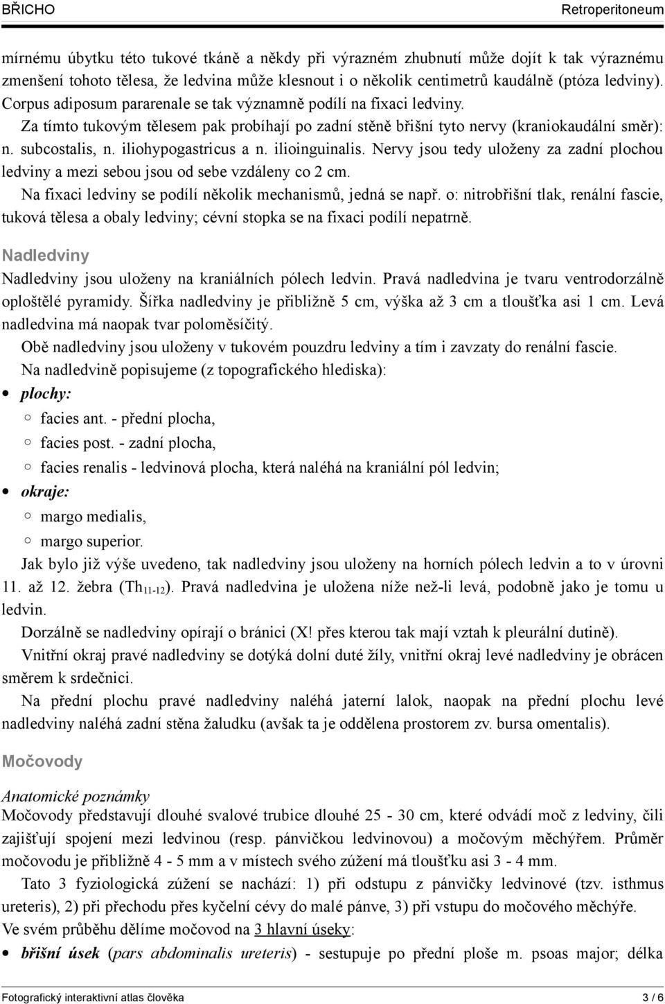 iliohypogastricus a n. ilioinguinalis. Nervy jsou tedy uloženy za zadní plochou ledviny a mezi sebou jsou od sebe vzdáleny co 2 cm. Na fixaci ledviny se podílí několik mechanismů, jedná se např.