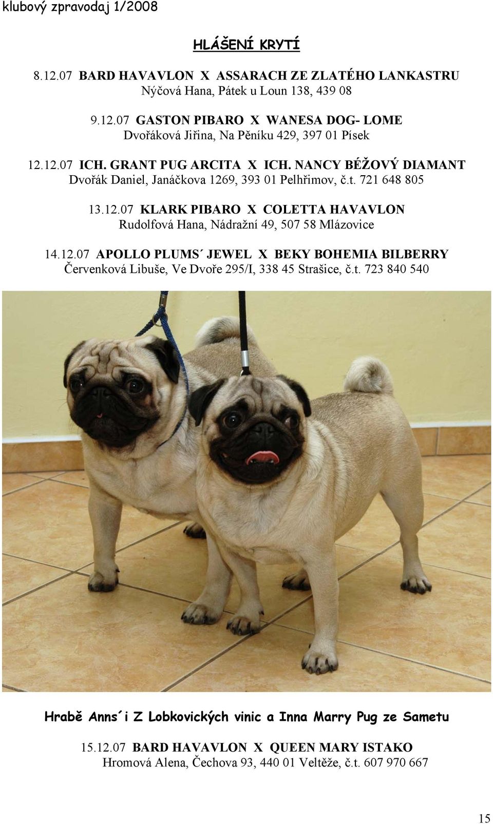12.07 APOLLO PLUMS JEWEL X BEKY BOHEMIA BILBERRY Červenková Libuše, Ve Dvoře 295/I, 338 45 Strašice, č.t. 723 840 540 Hrabě Anns i Z Lobkovických vinic a Inna Marry Pug ze Sametu 15.