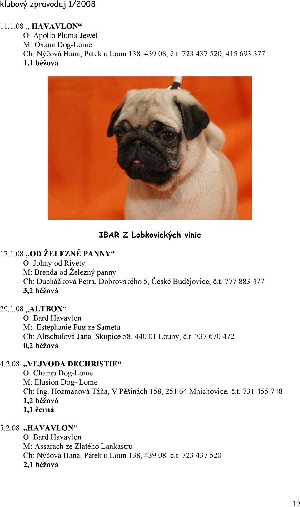 Hozmanová Táňa, V Pěšinách 158, 251 64 Mnichovice, č.t. 731 455 748 1,2 béžová 1,1 černá 5.2.08 HAVAVLON O: Bard Havavlon M: Assarach ze Zlatého Lankastru Ch: Nýčová Hana, Pátek u Loun 138, 439 08, č.