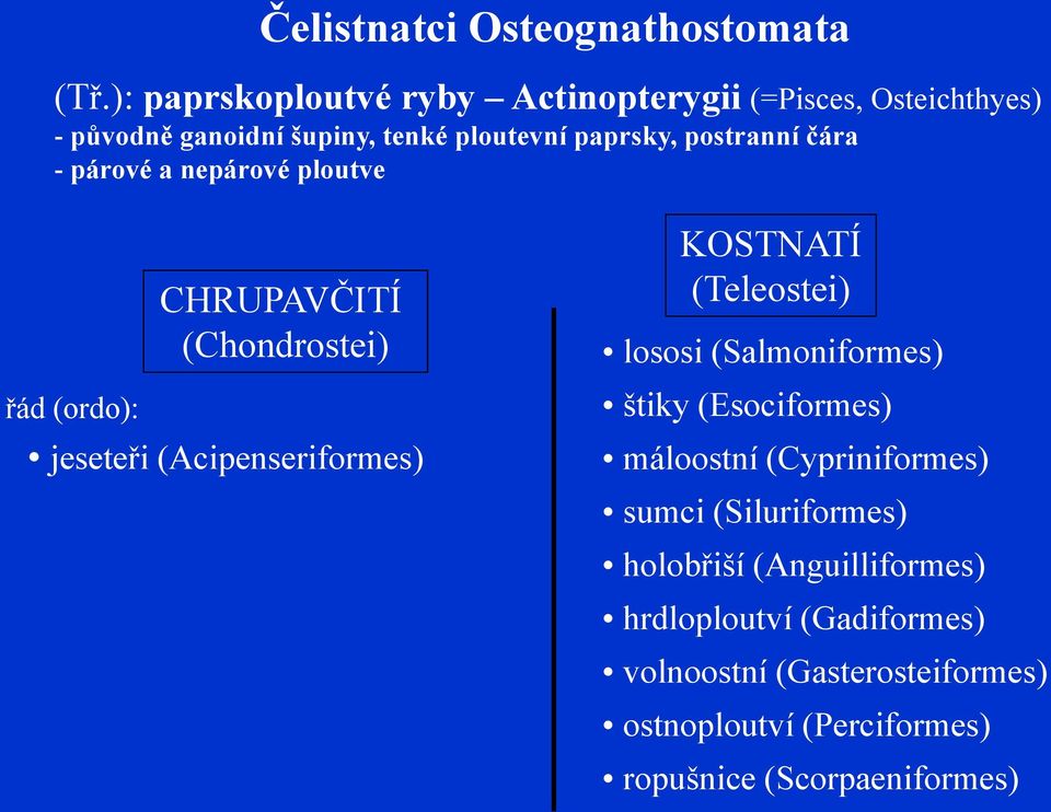 čára - párové a nepárové ploutve CHRUPAVČITÍ (Chondrostei) řád (ordo): jeseteři (Acipenseriformes) KOSTNATÍ (Teleostei) lososi