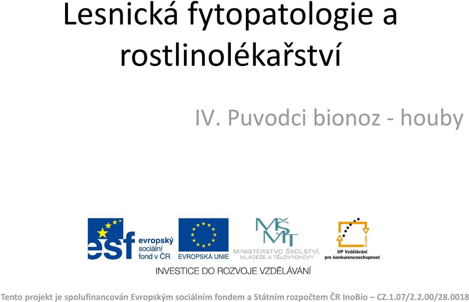 spolufinancován Evropským sociálním fondem a