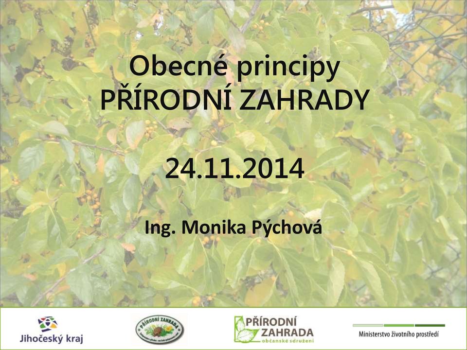 ZAHRADY 24.11.