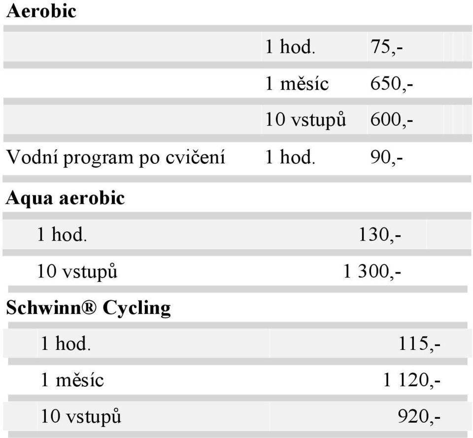 program po cvičení 1 hod. 90,- aerobic 1 hod.