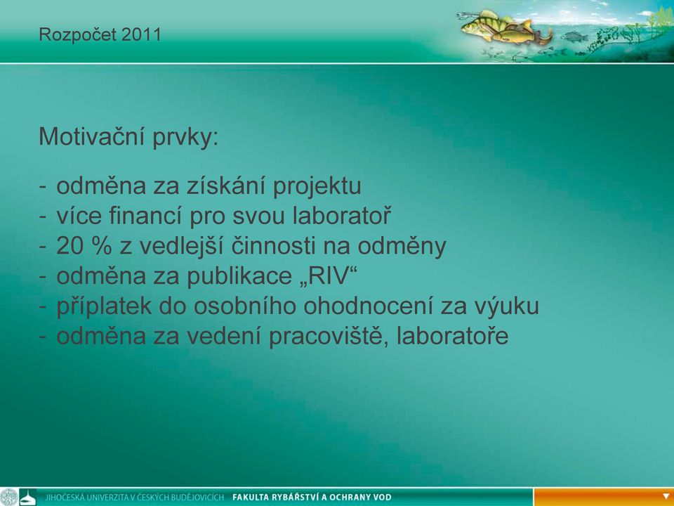 odměny - odměna za publikace RIV - příplatek do osobního