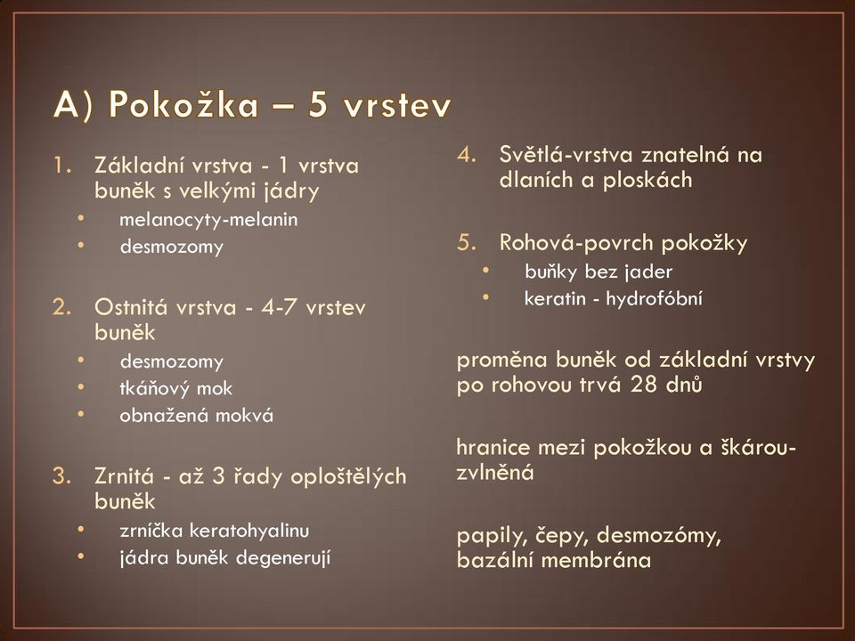 Zrnitá - až 3 řady oploštělých buněk zrníčka keratohyalinu jádra buněk degenerují 4.